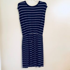 Banana Republic Navy Striped Dress
